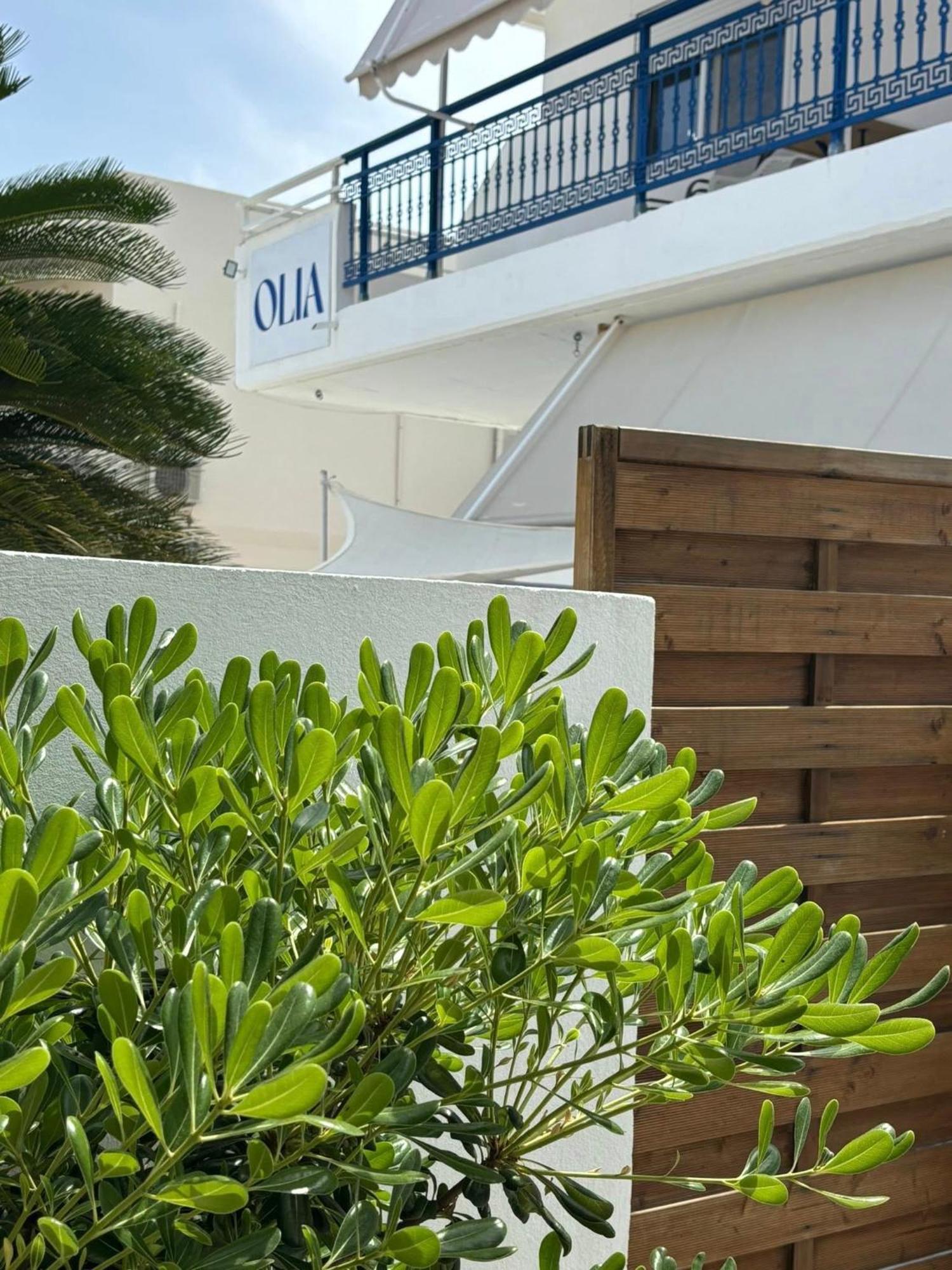 Apartment Olia Olga *
