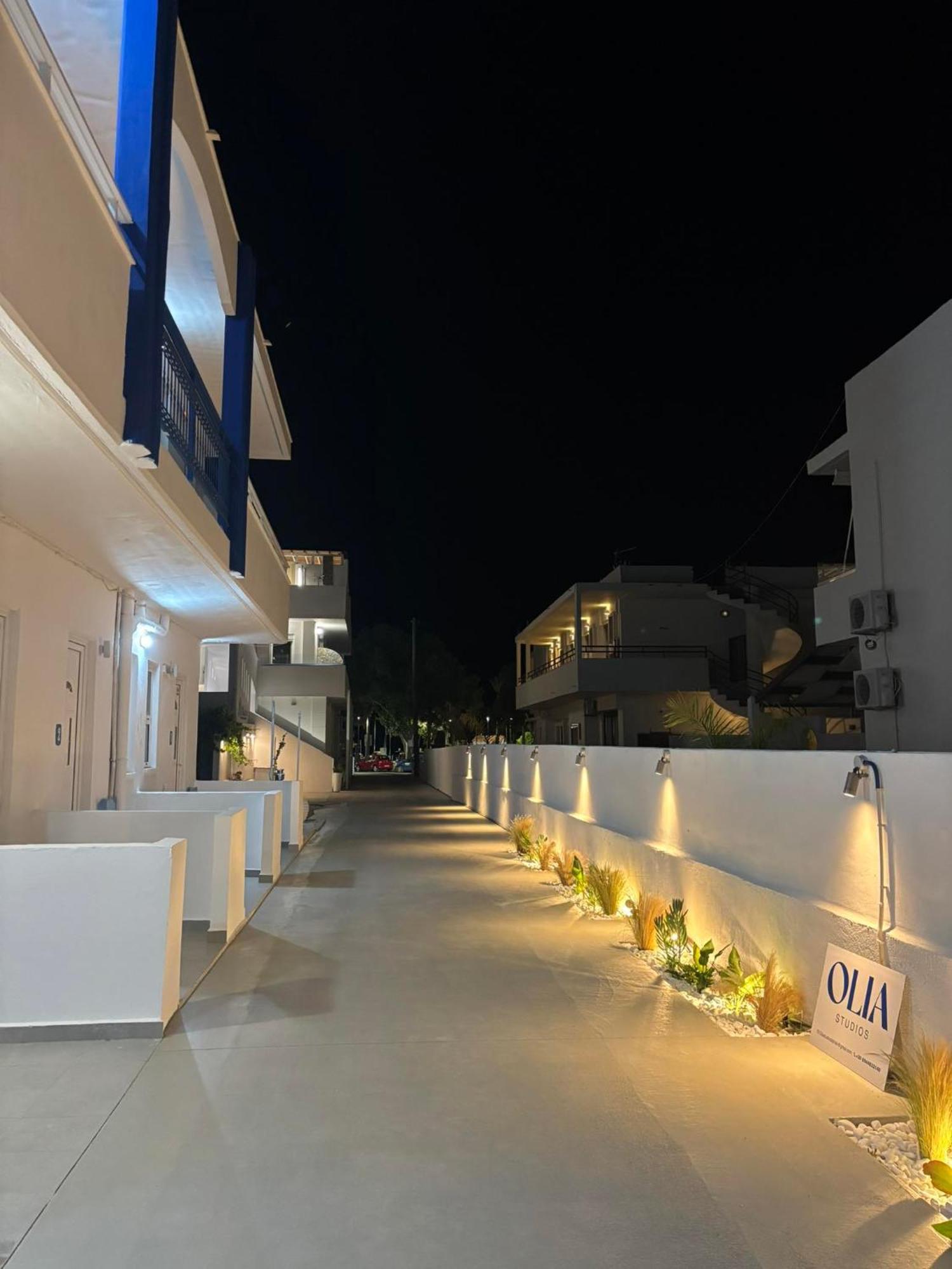 Apartment Olia Olga